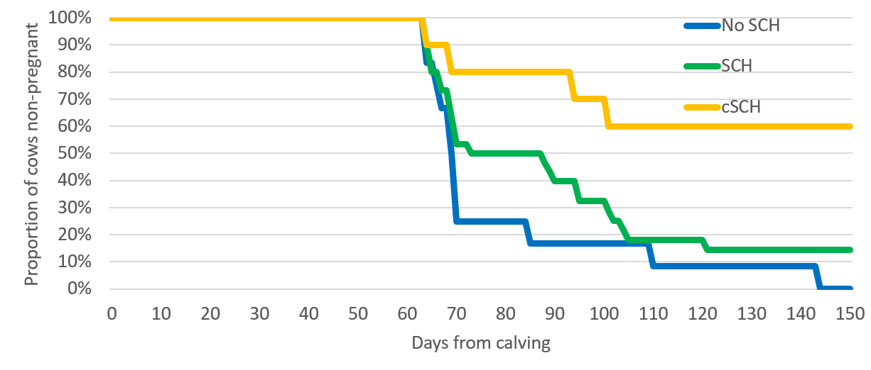 week in realtion to calving