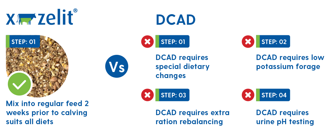 X-Zelit vs DCAD